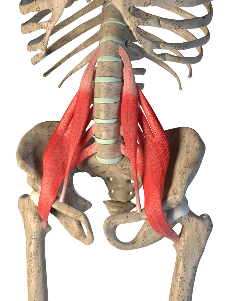 How to Sit with Psoas Pain - Posture -SittingPosture.com